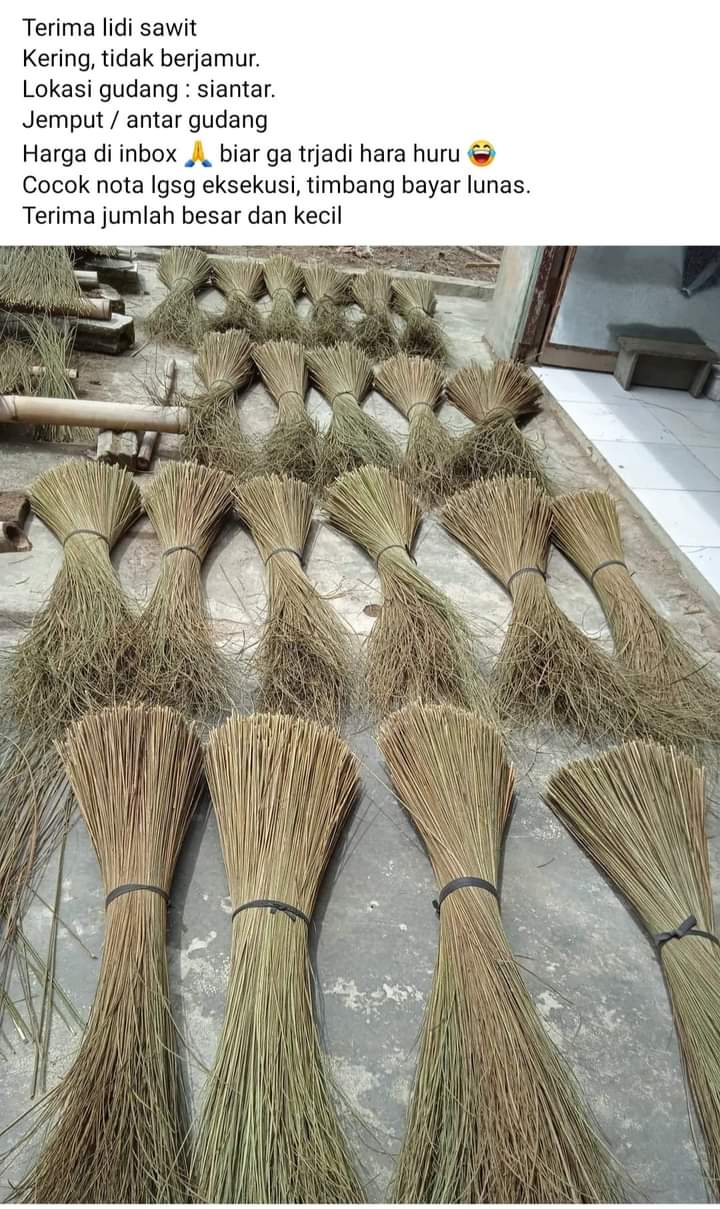palm broom stick Inaexport